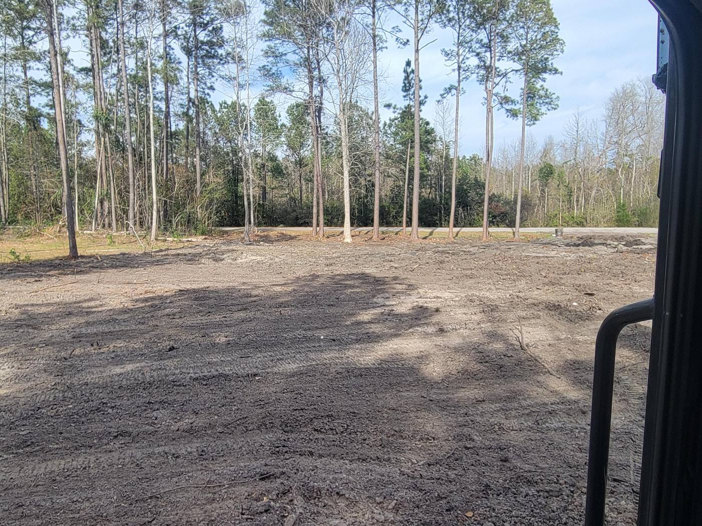 Cleared residential lot with mature pines left standing along the road